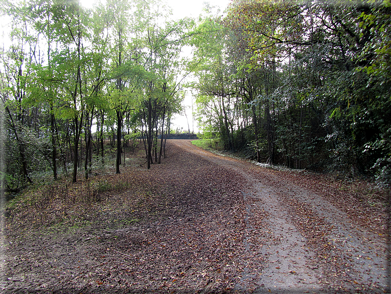 foto Colli Asolani in Autunno